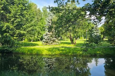 берег реки