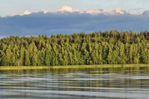берег реки